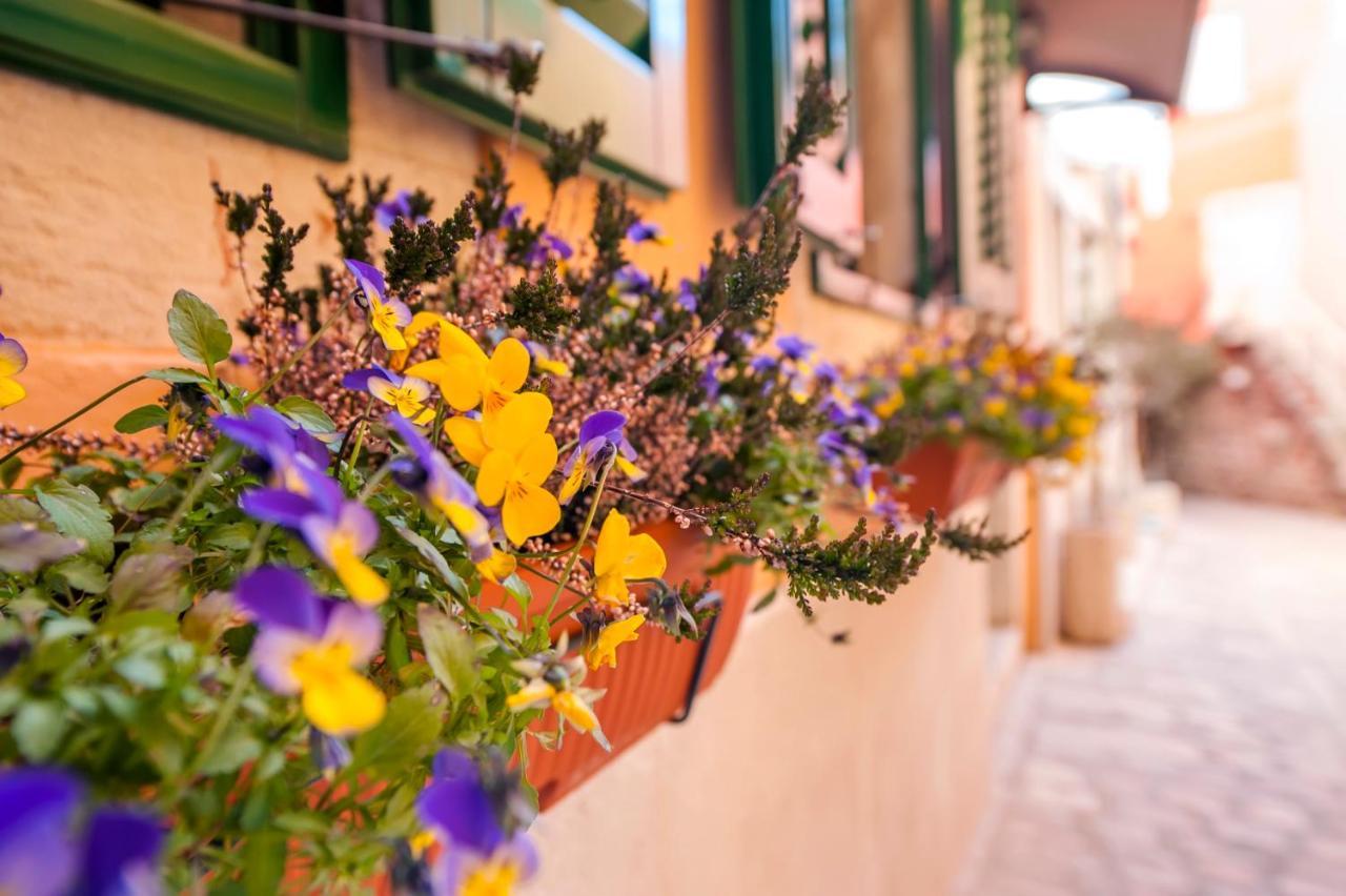 Guest House Sotto I Volti Centro Storico Ровинь Экстерьер фото